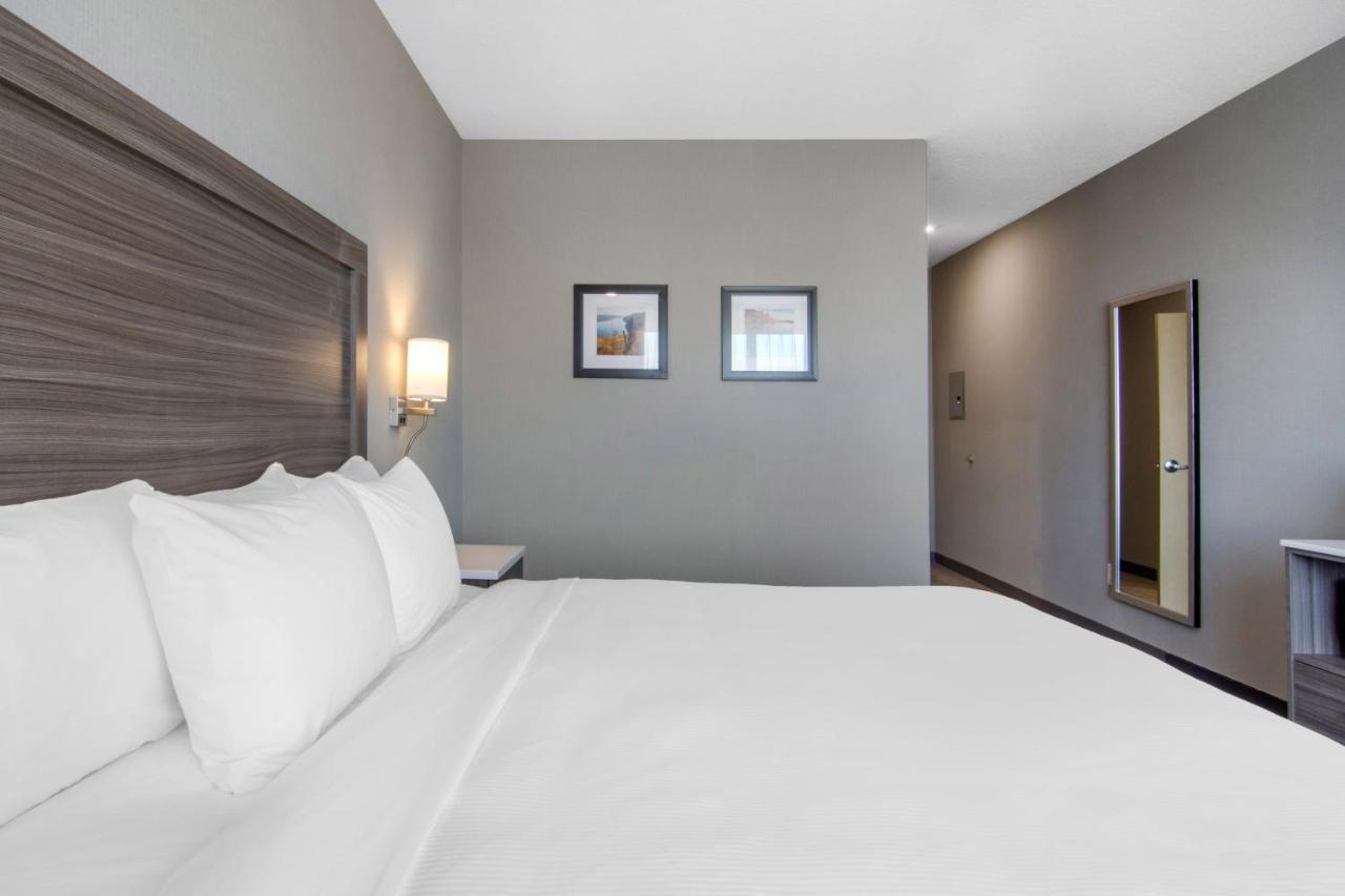 Comfort Inn & Suites North Battleford Kültér fotó